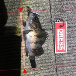 1時間短期決戦！