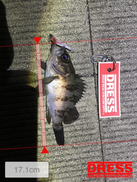 1時間短期決戦！