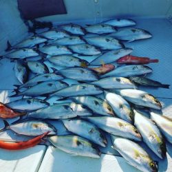 ネイリ好調でした！