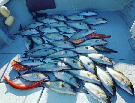 ネイリ好調でした！