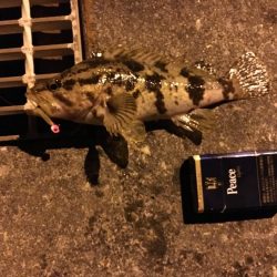 常夜灯の近くで