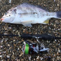 寝坊からのメバリング