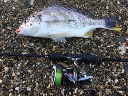 寝坊からのメバリング