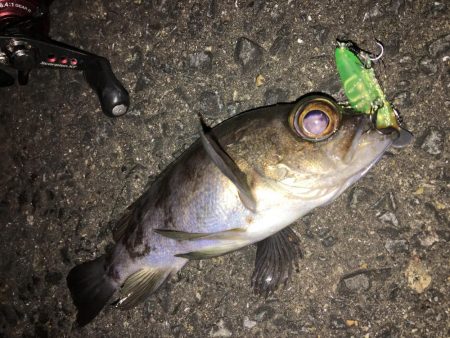 ライトゲーム同窓会