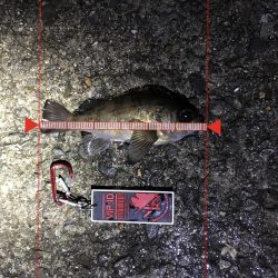 風強すぎました