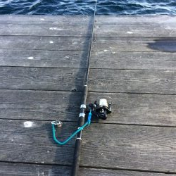 飲ませのヒラメ釣り