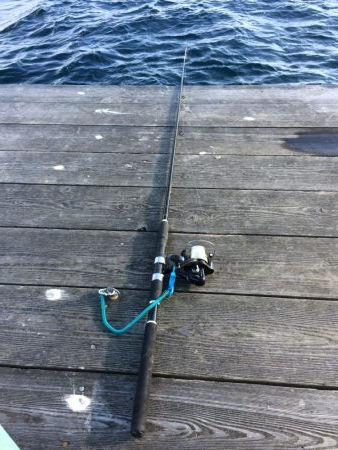 飲ませのヒラメ釣り