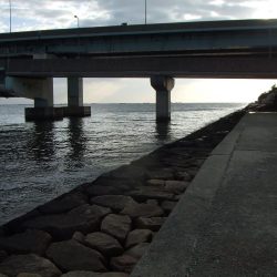 ステッピングで今季初キビレ