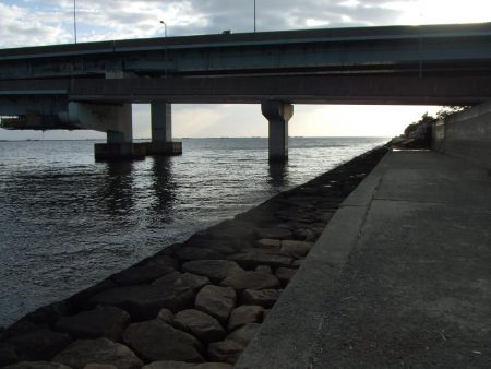 ステッピングで今季初キビレ