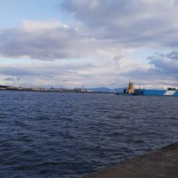 初釣りタッチ～