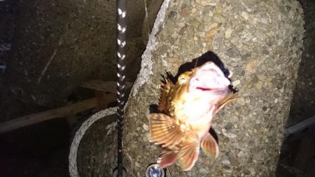 仕事終わりにメバリング!