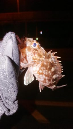 ライトロックゲーム