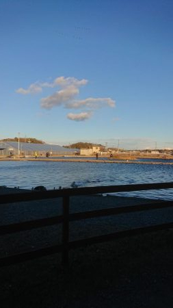 浜名湖フィッシングリゾート