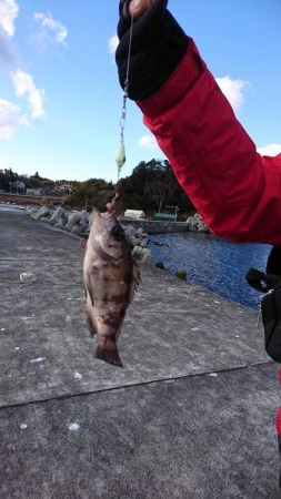 極寒の中で意外な魚が…