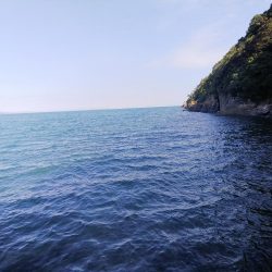 ショア、ルアー、チヌ