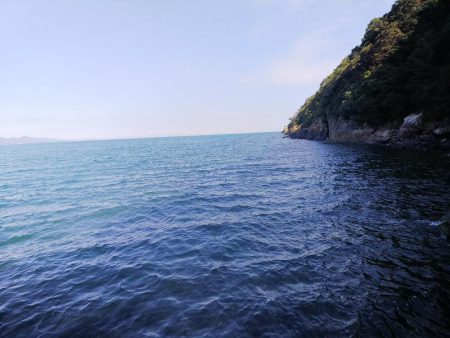 ショア、ルアー、チヌ