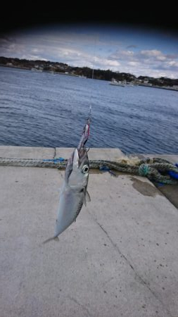 時期外れのライトショアジギング