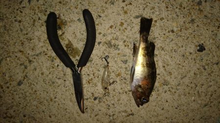 プラグオンリー