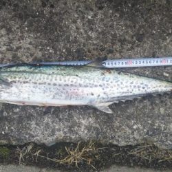 なんとか釣れた❗️