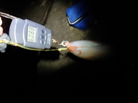 エギング記録更新