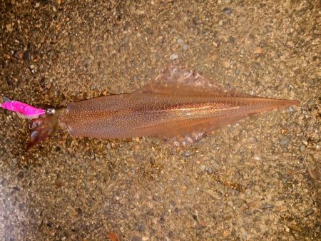 大ウネリの中で