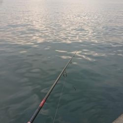 朝練、橋脚際でガツーン！