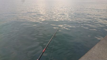 朝練、橋脚際でガツーン！