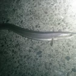 少し暖かくなった日和でした。