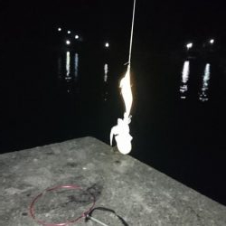 ミッキーマウスみたいなのが釣れました