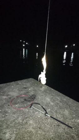 ミッキーマウスみたいなのが釣れました