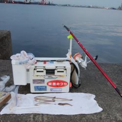 ４日も午後から播磨新島へキス釣査