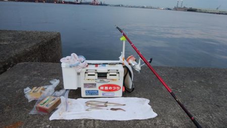 ４日も午後から播磨新島へキス釣査