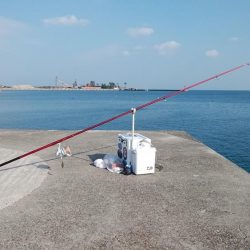 シーズン初の淡路釣行