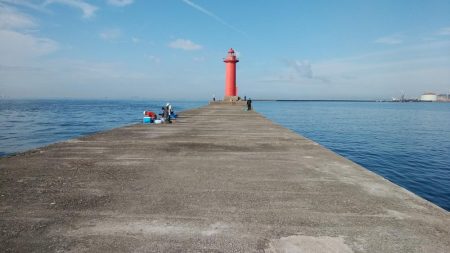 播磨新島で良型キスが釣れました
