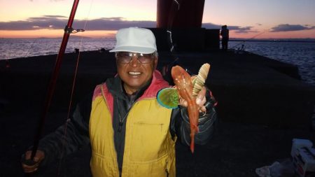 播磨新島のキス釣り