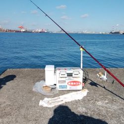 今日も播磨新島でキス釣り