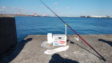 今日も播磨新島でキス釣り