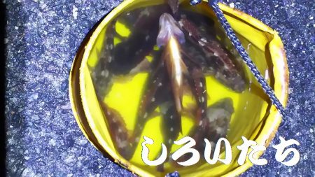 淡路島2日目。福良から洲本へ