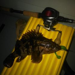 2019初ゴムボートロック