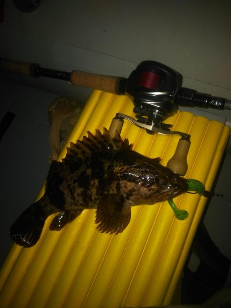 2019初ゴムボートロック