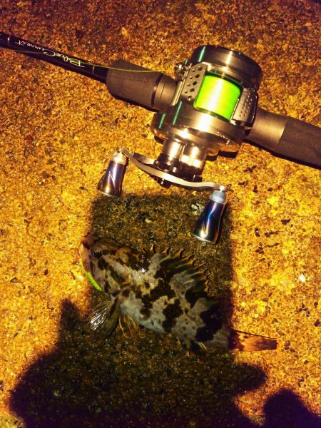 メバリング修行