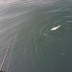 仕事帰りの夕練短時間デイゲーム