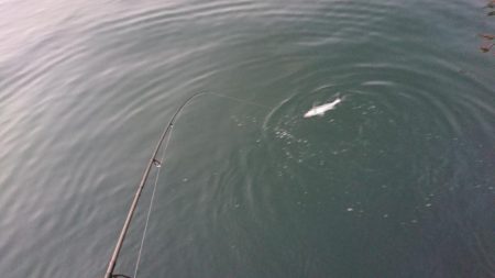 仕事帰りの夕練短時間デイゲーム