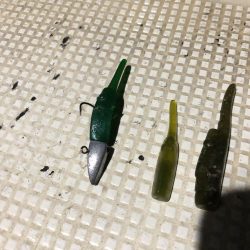 船上ライトワインドゲーム