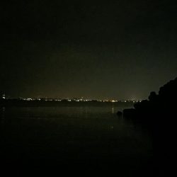 久しぶりのメバル!