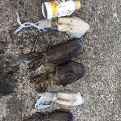 初めてのヤエン