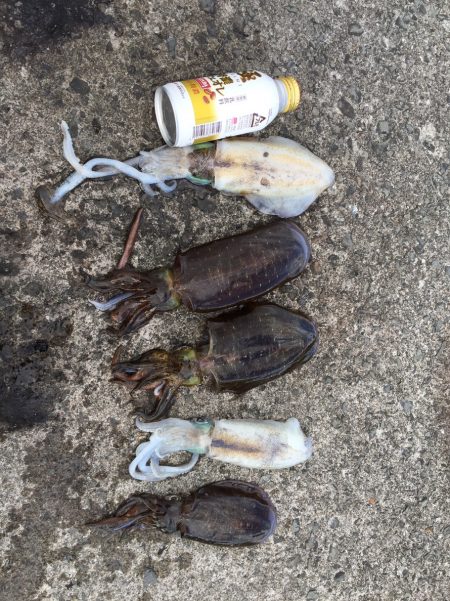 初めてのヤエン