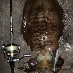 2019初のキロアップ