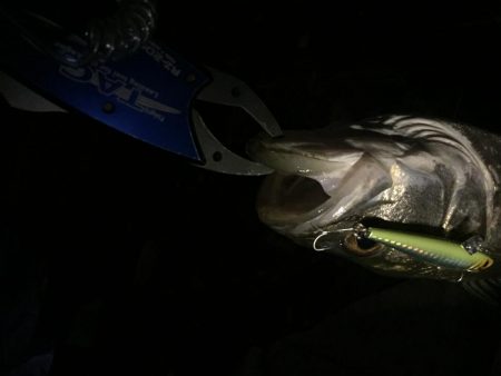 真冬のシャロー