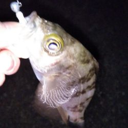 初めての場所でライトゲーム